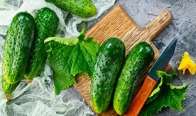 pepino dieta pisua galtzeko